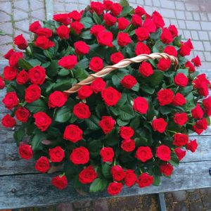 101 красная роза в корзине Кропивницкий фото