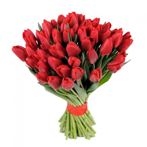 Фото товара 51 красный тюльпан в Кировограде