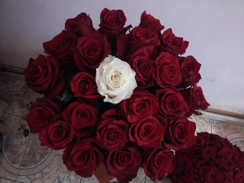 Фото товара Коробка 21 роза "Неповторимая" в Кировограде
