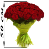 Фото товара 51 красная и белая роза (50 см) в Кировограде