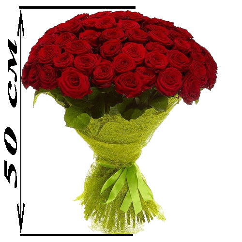 Фото товара 101 красная роза (50см) в Кировограде