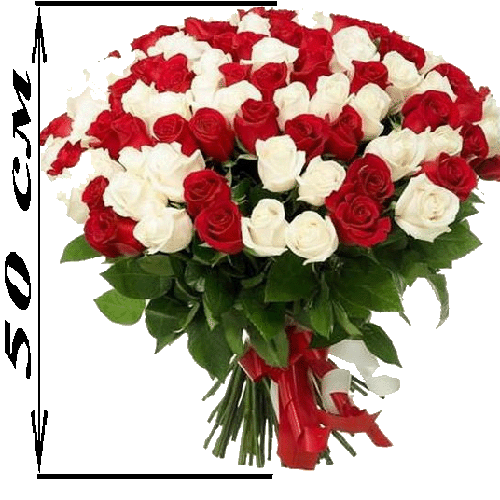 Фото товара 101 роза микс красная и белая (50 см) в Кировограде