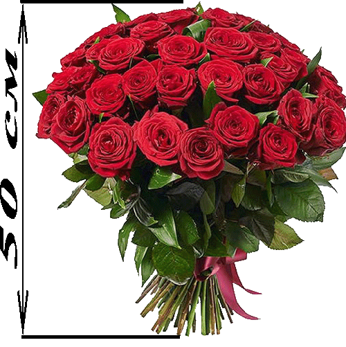 Фото товара 51 красная роза (50см) в Кировограде