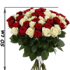 Фото товара 51 красная и белая роза (50 см) в Кировограде