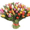 Фото товара 101 разноцветный тюльпан в Кировограде