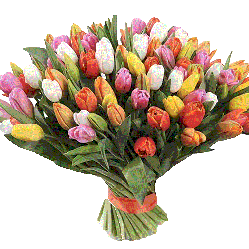 Фото товара 101 разноцветный тюльпан в Кировограде