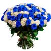 Фото товара 101 белая и синяя роза (крашеная) в Кировограде