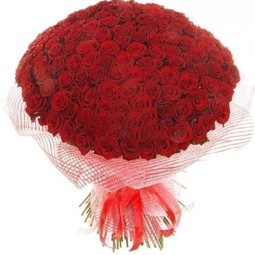 Фото товара 201 красная роза в Кировограде
