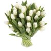 Фото товара 25 белых тюльпанов в Кировограде