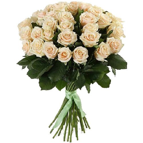 Фото товара 33 кремовые розы в Кировограде