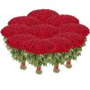 Фото товара 15 красных роз в крафт в Кировограде