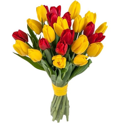Фото товара 15 красно-жёлтых тюльпанов (с лентой) в Кировограде