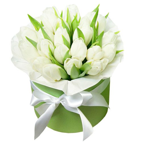 Фото товара 21 белый тюльпан в коробке в Кировограде