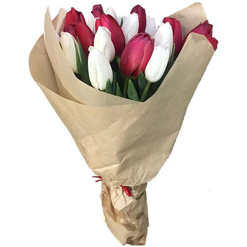Фото товара 21 красно-белый тюльпан в крафт в Кировограде