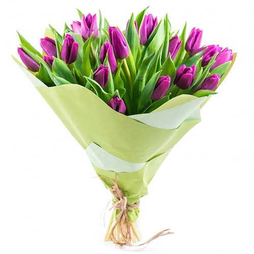 Фото товара 25 пурпурных тюльпанов в Кировограде