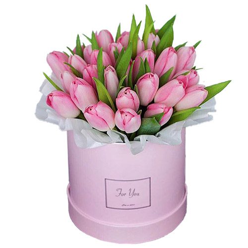 Фото товара 31 нежно-розовый тюльпан в коробке в Кировограде