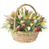 Фото товара 45 алых тюльпанов в коробке в Кировограде
