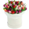 Фото товара 51 бело-пурпурный тюльпан (с лентой) в Кировограде