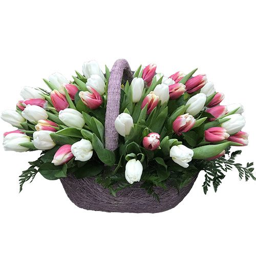 Фото товара 51 бело-розовый тюльпан в корзине в Кировограде