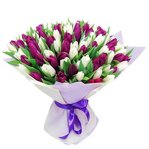 Фото товара 75 пурпурно-белых тюльпанов в Кировограде