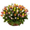 Фото товара 75 тюльпанов микс (все цвета) в корзине в Кировограде