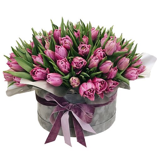 Фото товара 101 пурпурный тюльпан в коробке в Кировограде