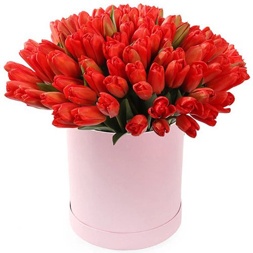 Фото товара 101 красный тюльпан в коробке в Кировограде