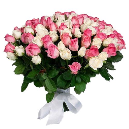 Фото товара 101 белая и розовая роза в Кировограде
