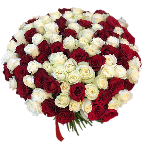 Фото товара 101 красная и белая роза в Кировограде