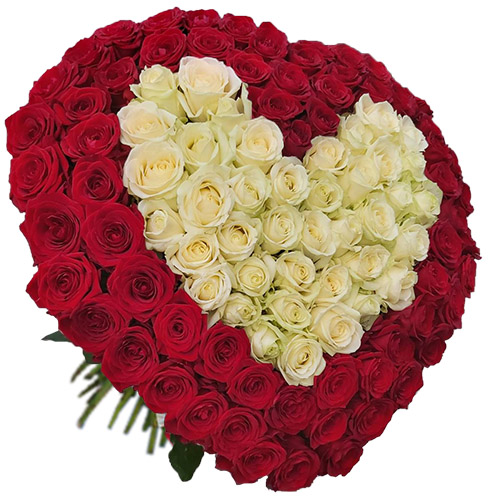 Фото товара Сердце 101 роза - красная и белая в Кировограде