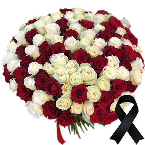 Фото товара 100 красно-белых роз в Кировограде