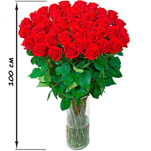 Фото товара 35 высоких роз (100 см) в Кировограде