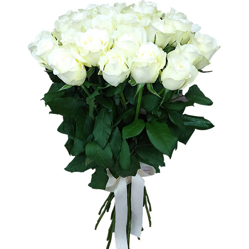 Фото товара 25 белых роз в Кировограде