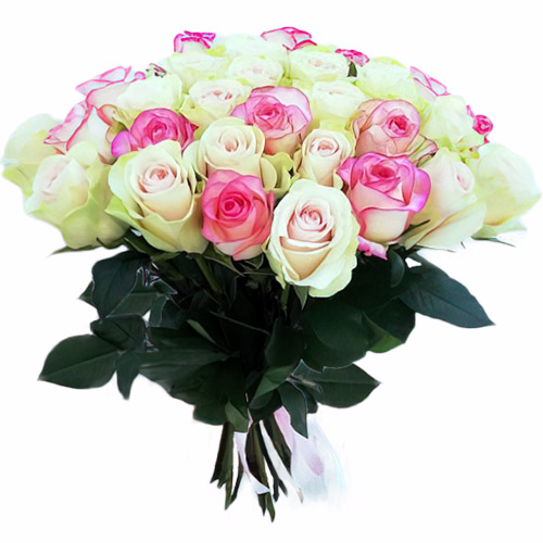 Фото товара 33 кремовые и розовые розы в Кировограде