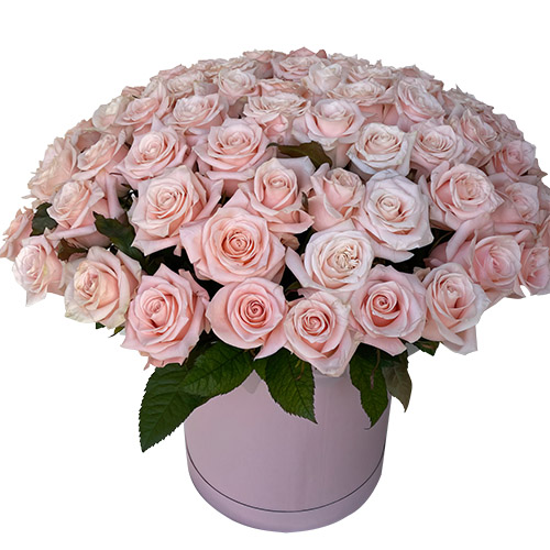 Фото товара 101 розовая роза в коробке в Кировограде