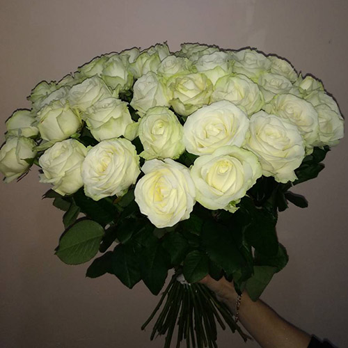 фото букета 33 білі троянди