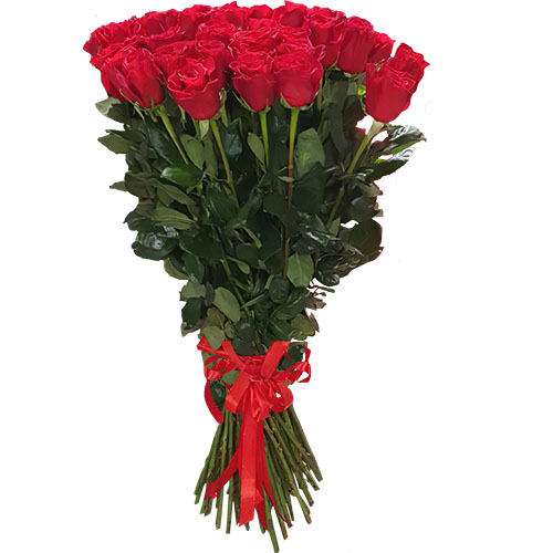 Фото товара 25 метровых роз "Фридом" в Кировограде