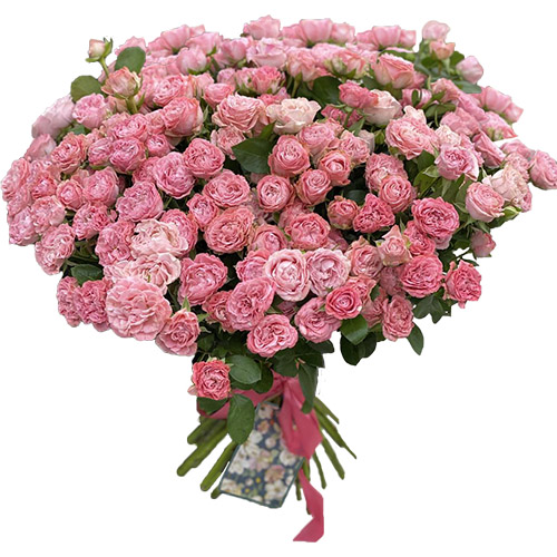 Фото товара 33 кустовые пионовидные розы в Кировограде