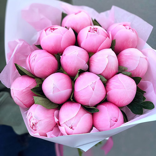 Фото товара 15 розовых пионов в Кировограде