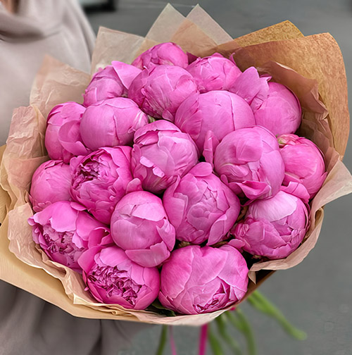 Фото товара 21 розовый пион в крафт в Кировограде