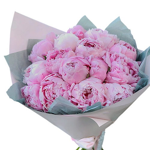 Фото товара 19 розовых пионов в Кировограде