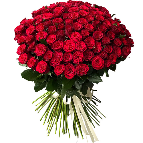 Фото товара 101 роза красная в Кировограде