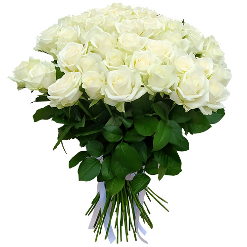 Фото товара 51 троянда біла в Кировограде