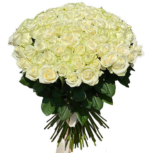 Фото товара 101 роза белая в Кировограде