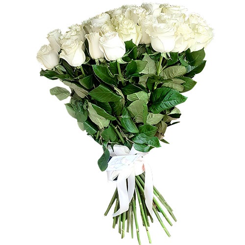 Фото товара 33 белые розы в Кировограде