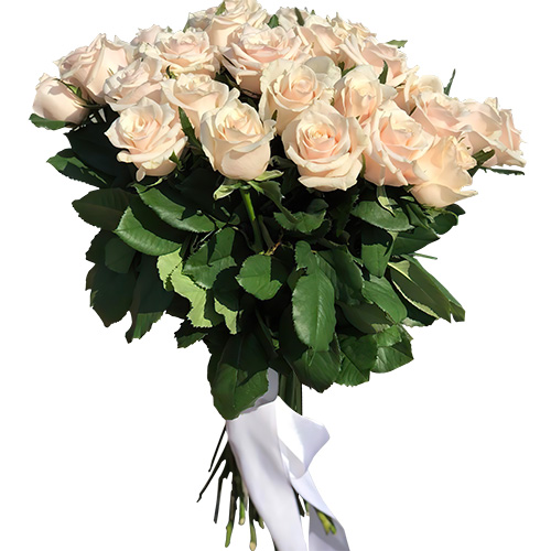 Фото товара Букет із 33 кремових троянд в Кировограде