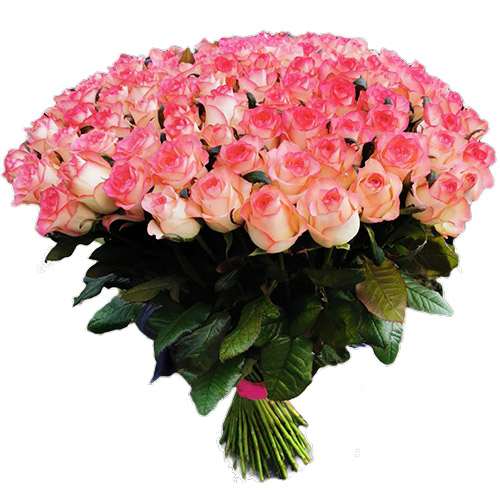 Фото товара Букет троянд 101 Джамілія в Кировограде