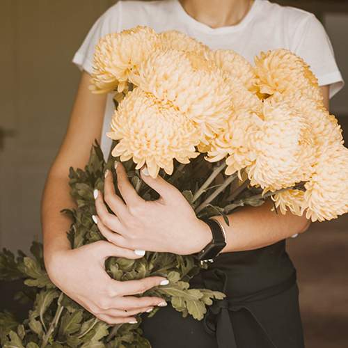фото крупної білої хризантеми в букеті