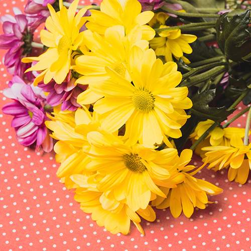 фото букета з жовтими та рожевими ромашковими хризантемами